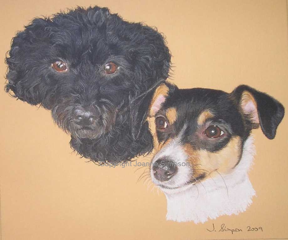 Poodle and Jack Russell pet portrait by Joanne Simpson